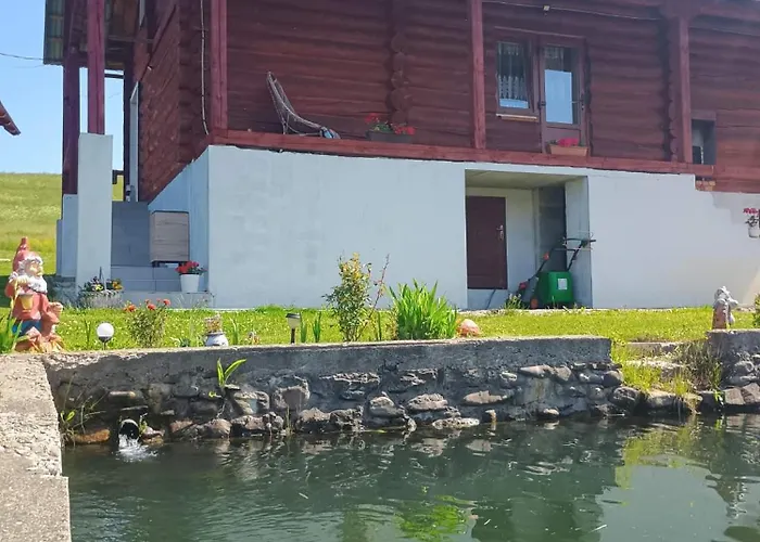 над ставом Orman Evi *